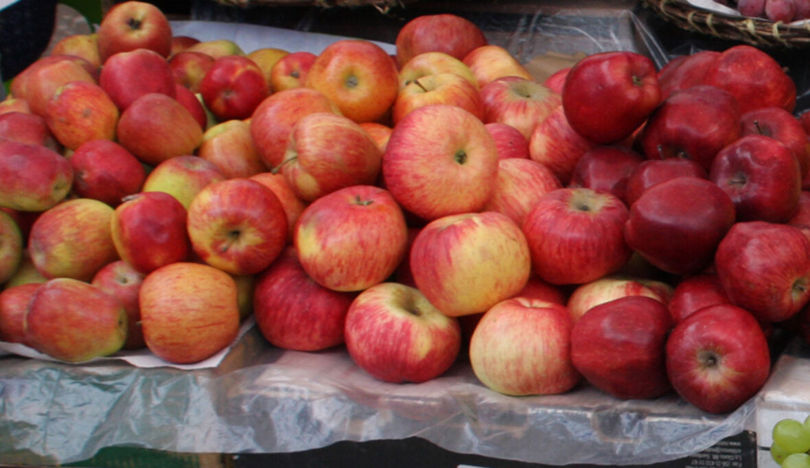 Obstbauern präsentieren „Sustain Apple“-Strategie 