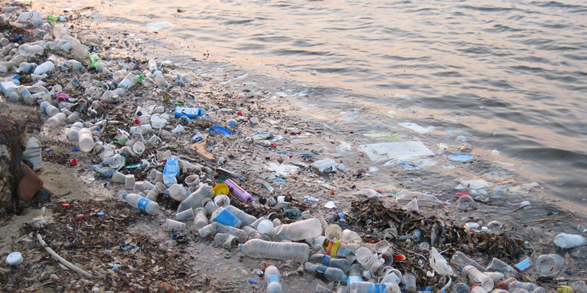Making Oceans Plastic Free: Projekt gegen Verschmutzung der Ozeane