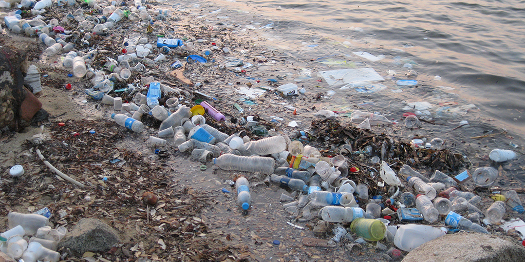 Aktuell ist das Überleben von etwa 700 Arten von Meeresbewohnern durch Plastik bedroht.