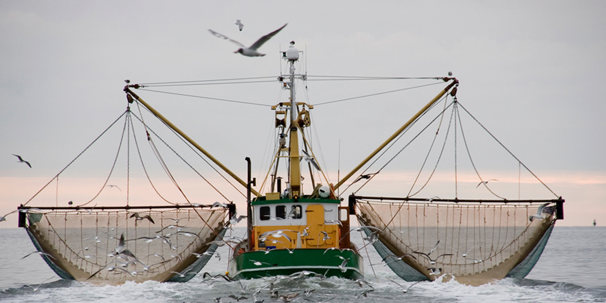 Hamburger Stiftung für Wirtschaftsethik veröffentlicht Risikoanalyse zur Fischerei