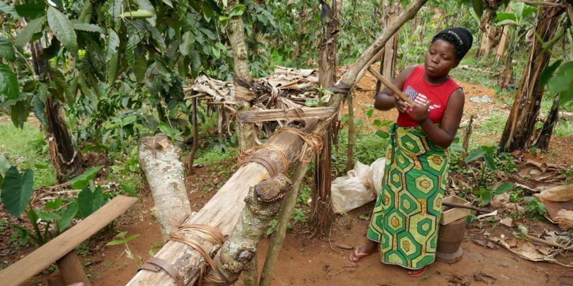 Klimawandel beeinträchtigt Afrikas Kaffeeplantagen