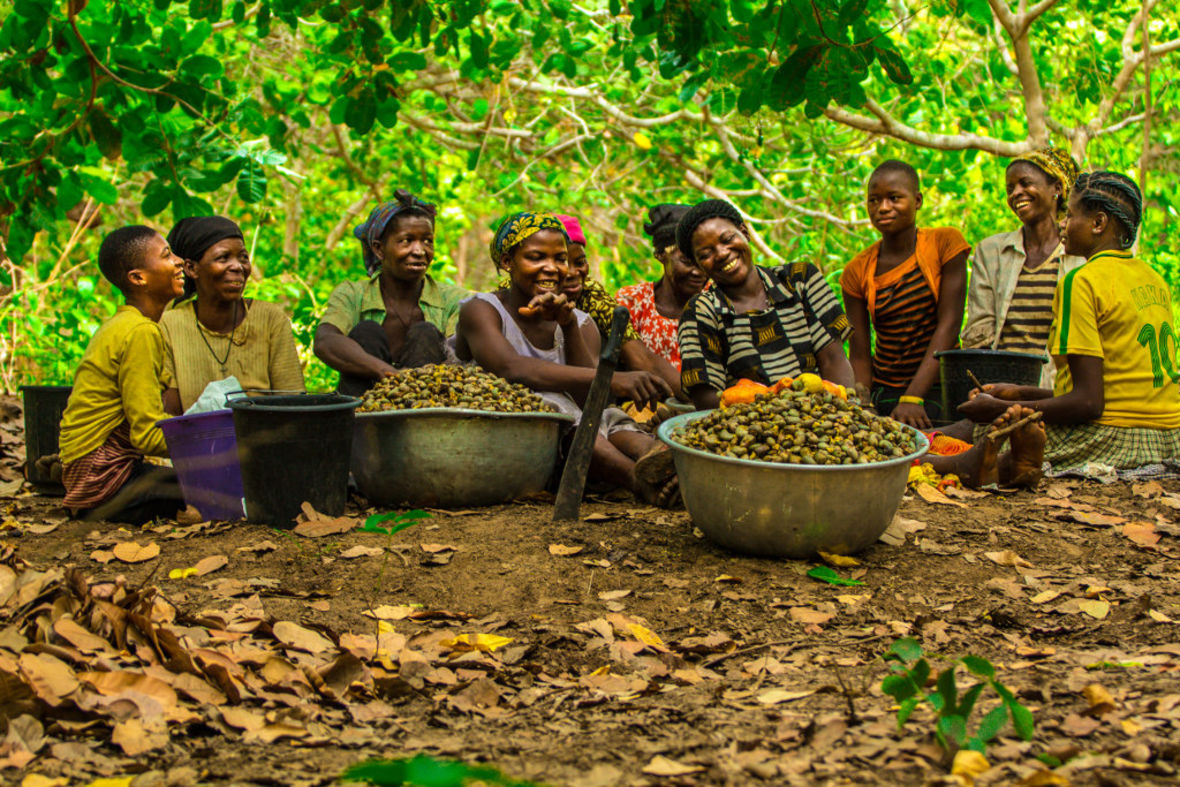 Frauen sitzen nach der Cashewnuss-Ernte mit Körben auf der Erde.