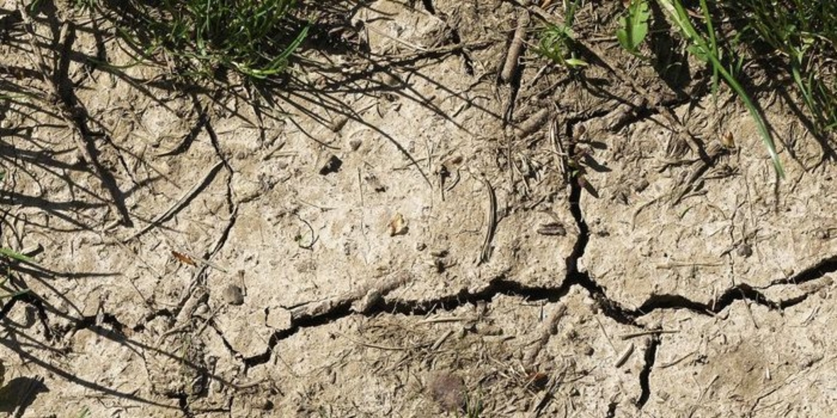 Klimawandel verschärft Dürren in Europa