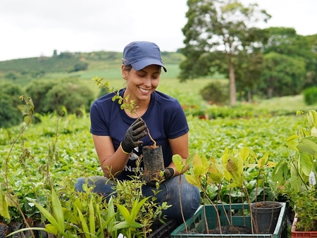Miele startet regeneratives Kaffeeanbauprojekt in Brasilien. Eine Projektmitarbeiterin begutachtet einen Kaffeesetzling auf der Plantag