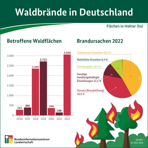 Infografik Waldbrandstatistik 2022