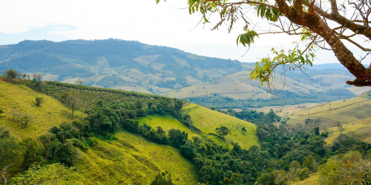 Tchibo: Ab 2027 nur noch nachhaltiger Kaffee im Sortiment