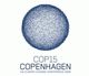 Cop 15 - Kopenhagen: Streitfragen, Standpunkte, Forderungen 