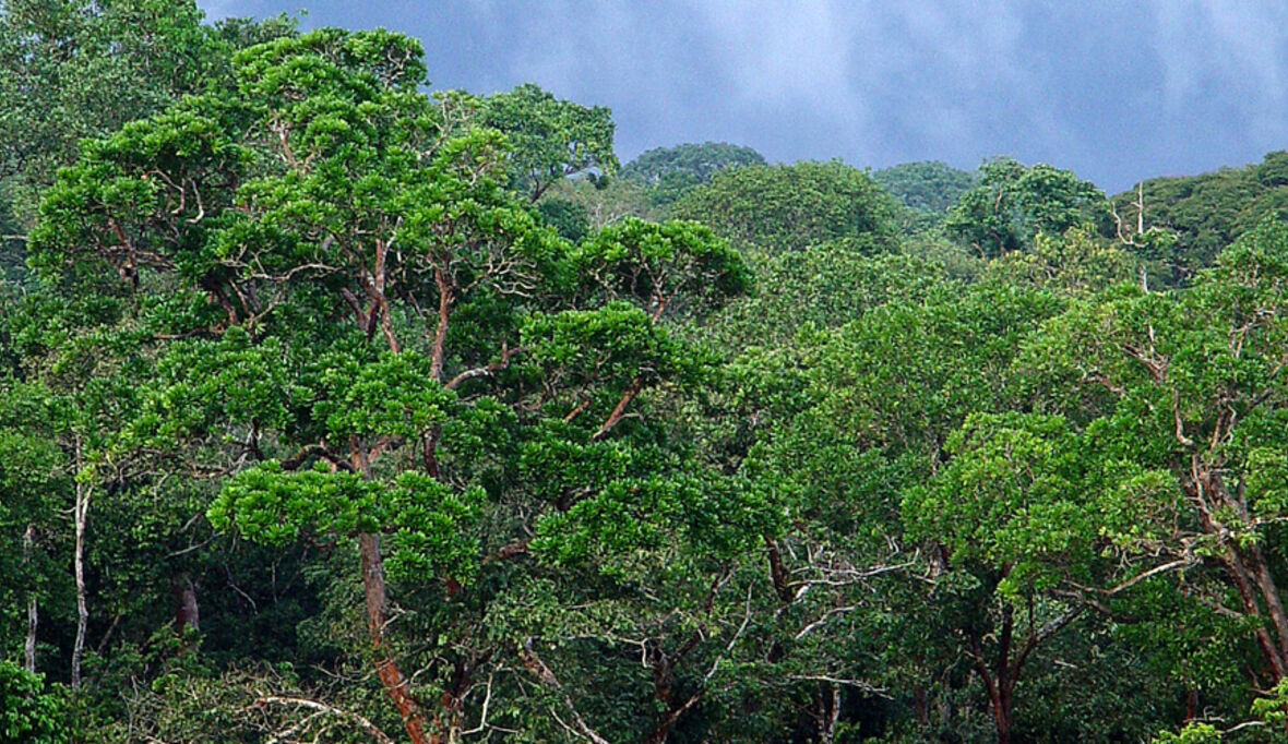  Klimawandel: Abschied von den Mondbergen