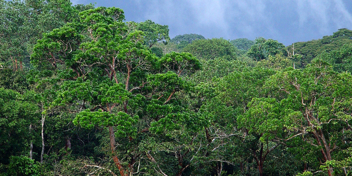  Klimawandel: Abschied von den Mondbergen