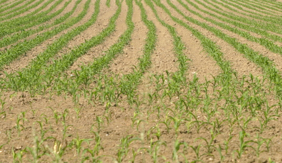 Land- und Forstwirtschaft heizen Klimawandel an