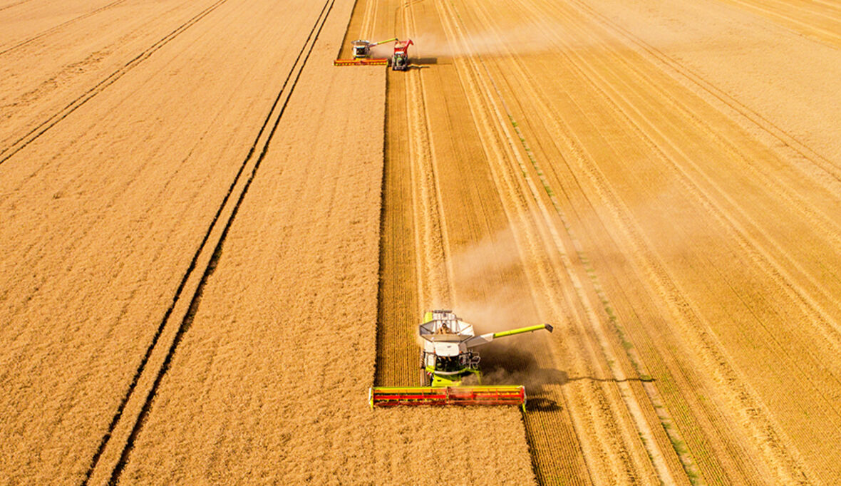 Gefährdet die Bayer-Monsanto-Fusion die Ernährungssouveränität?