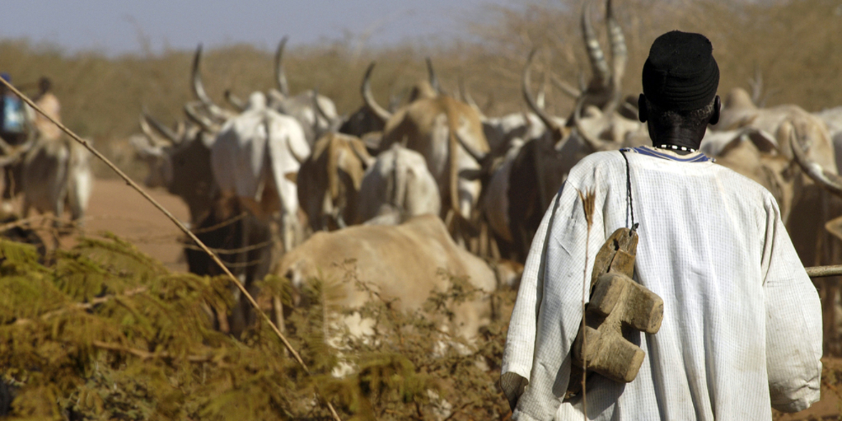 Klimaforscher warnen vor Luftverschmutzung in Westafrika