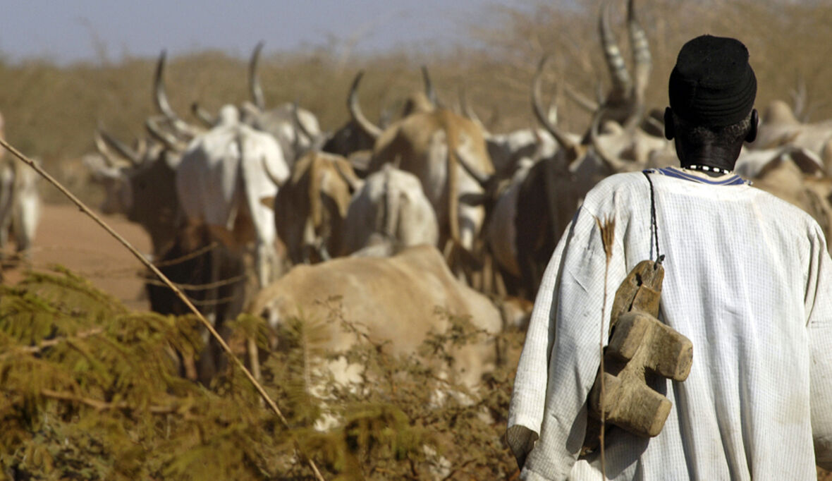 Klimaforscher warnen vor Luftverschmutzung in Westafrika