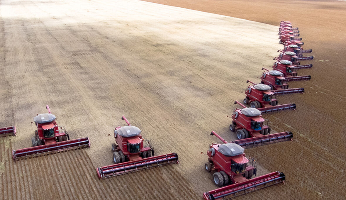 „Cropping School“ als Antwort auf den Klimawandel in Brandenburg