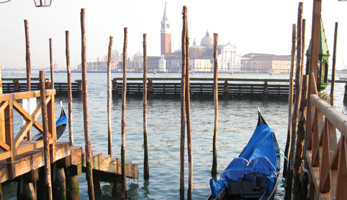 Venedig: Neue App zeigt Biodiversität