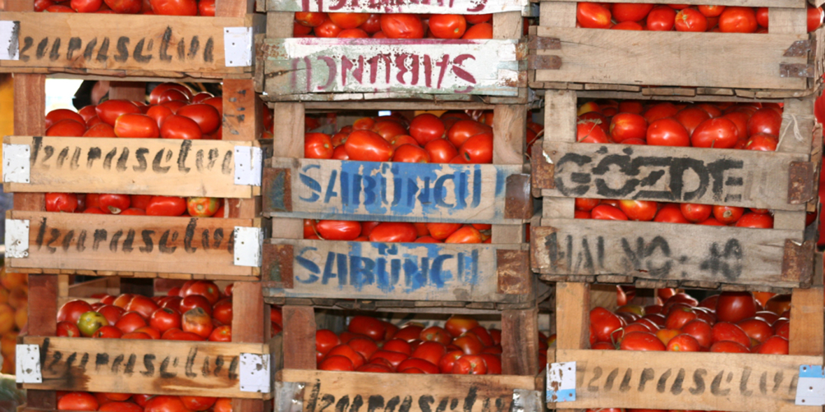 Biologischer Kunststoff auf Tomatenbasis?