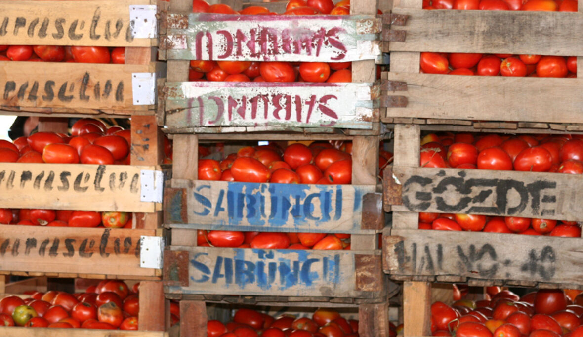 Klimakiller Tomaten?