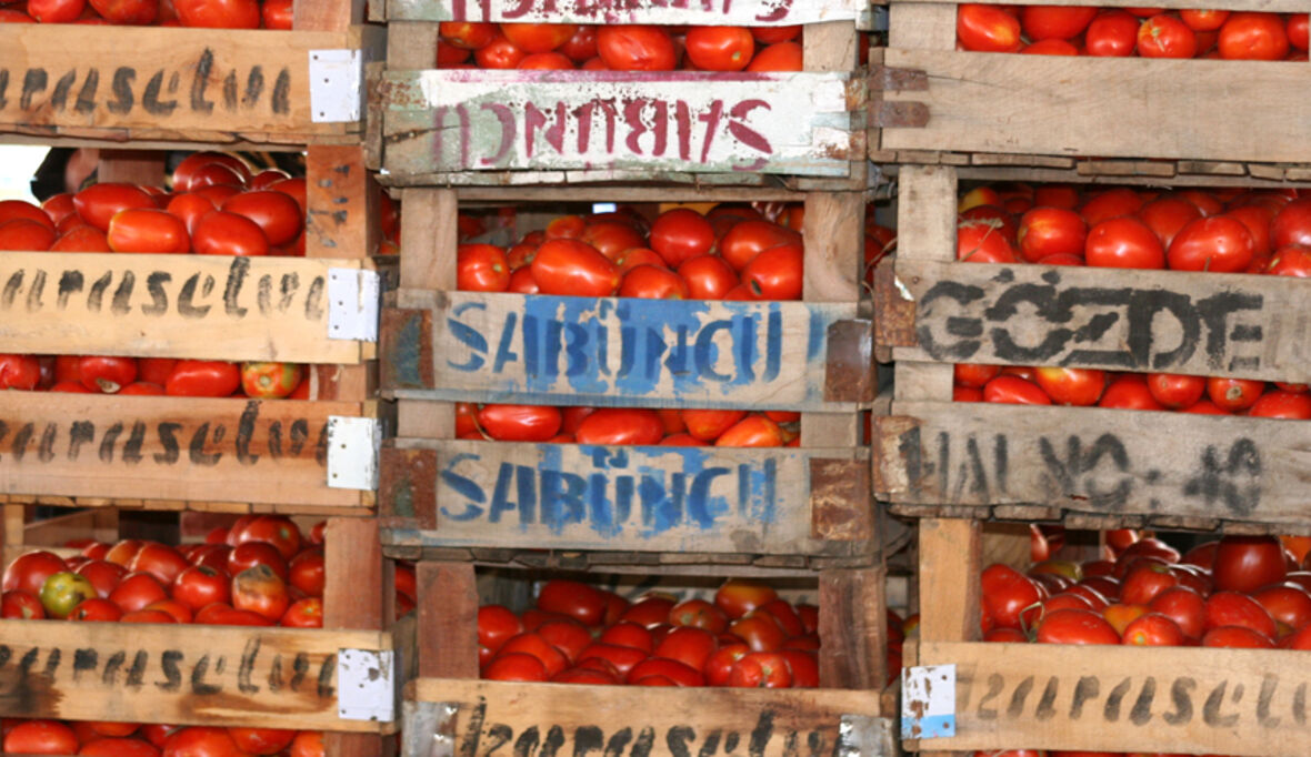 Biologischer Kunststoff auf Tomatenbasis?