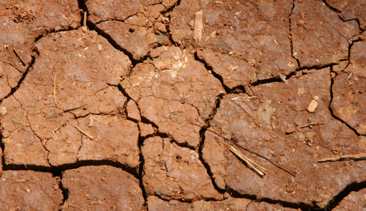 Wie Bio-Landwirte auf zunehmende Dürreperioden reagieren