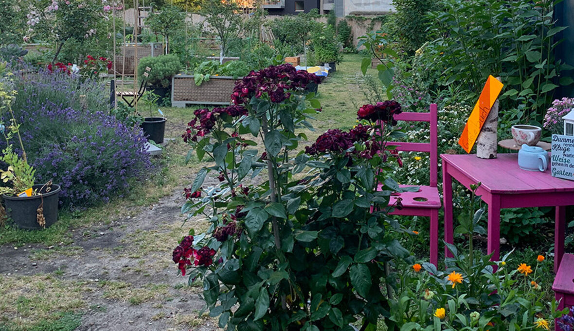 So gestalten Sie einen umweltfreundlichen Garten