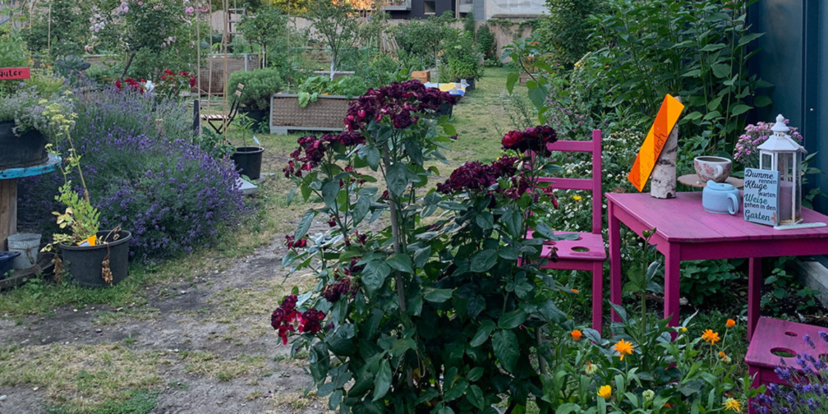 So gestalten Sie einen umweltfreundlichen Garten