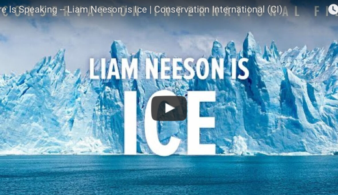 Liam Neeson verleiht dem Eisschmelzen eine Stimme 