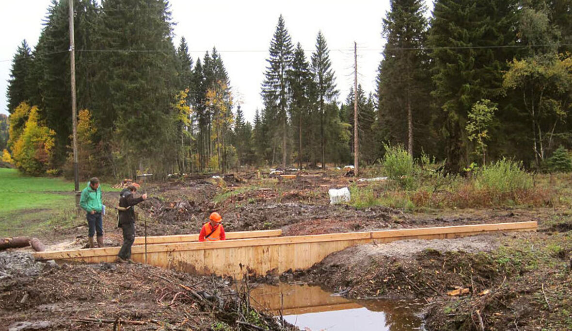 Klimaschutz durch Hochmoorschutz – max.moor macht‘s möglich