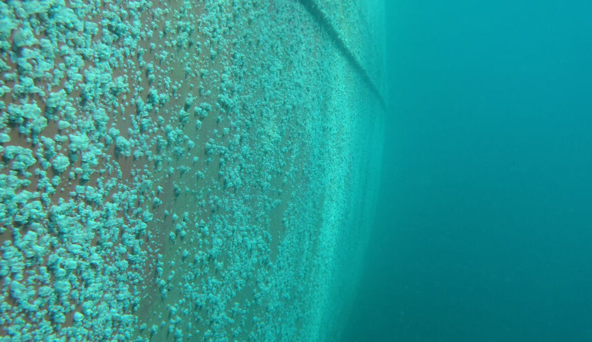 Biofouling umweltfreundlich beseitigen