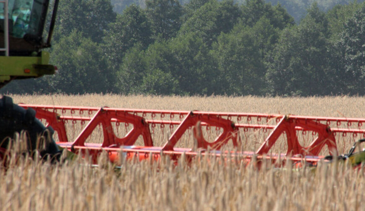 NABU fordert Umbau der Landwirtschaft 