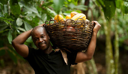 Fairtrade Rosen In Allen Aldi Sud Filialen Erhaltlich