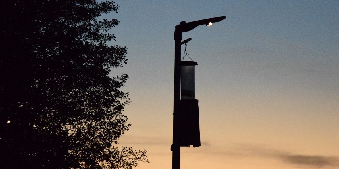 Neue Straßenlaternen, weniger tote Insekten