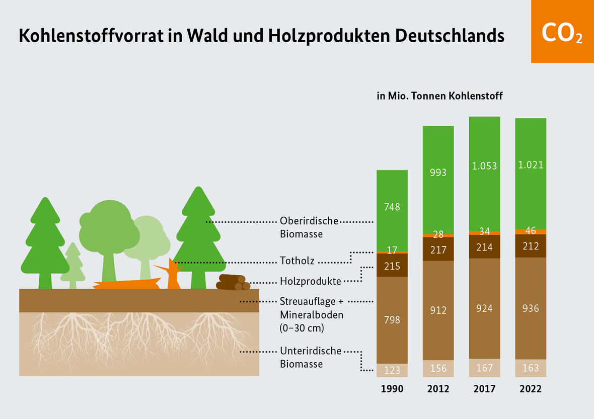 Veränderungen des Kohlenstoffvorrates in Wald und Holzprodukten.