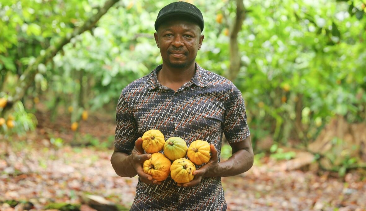 Zunehmende Nachfrage nach Fairtrade-Kakao trotz hoher Weltmarktpreise