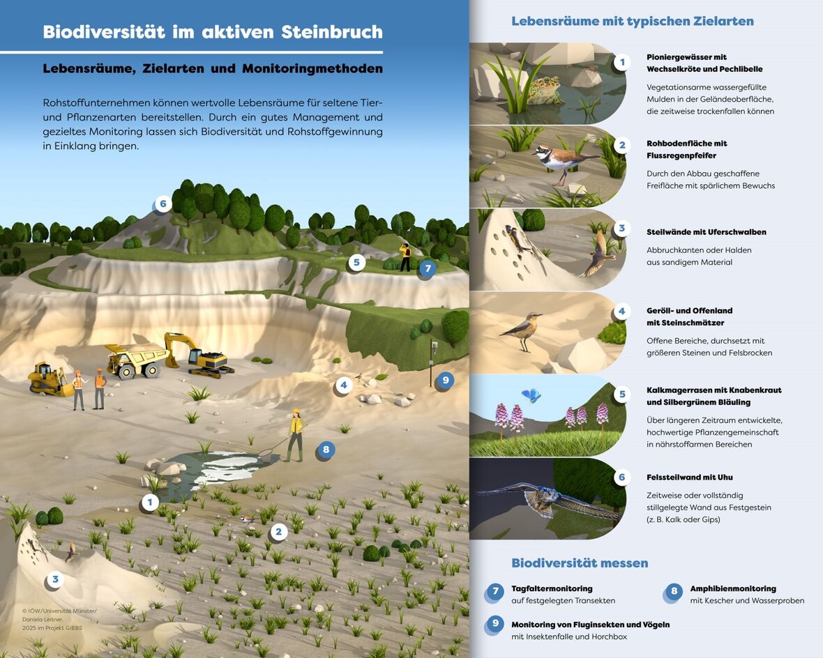 Lebensräume, Zielarten und Biodiversitätsmonitoring in einem fiktiven Steinbruch.