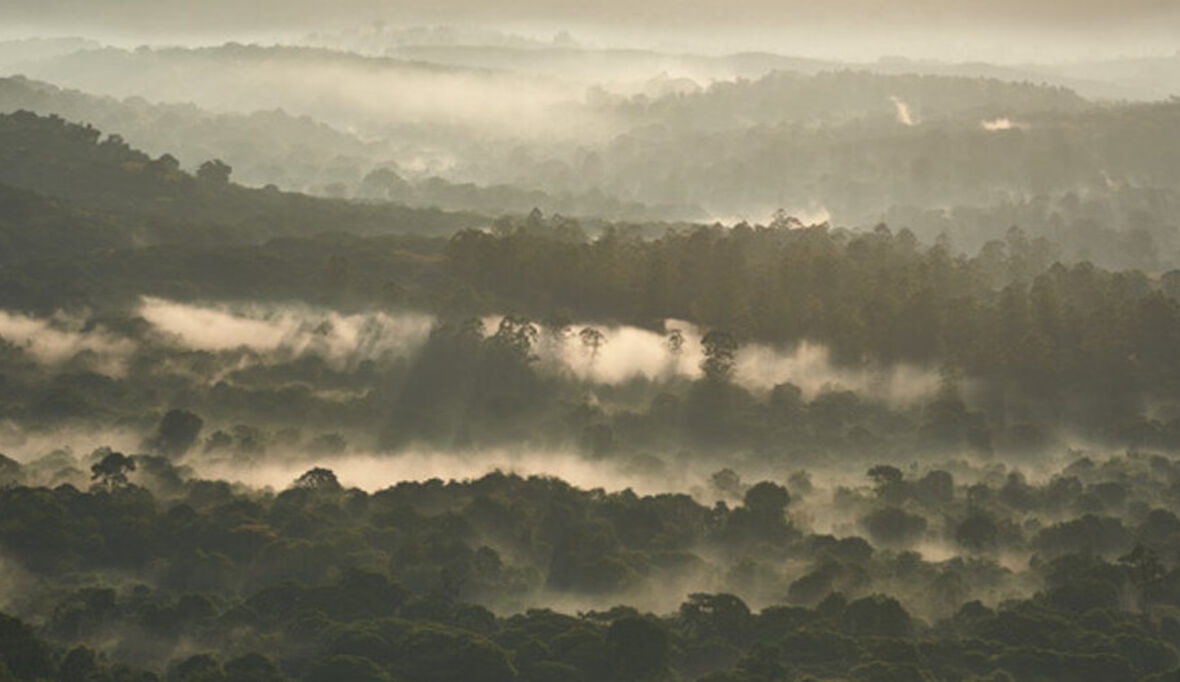 Kyocera: Klimaschutz in Kenia