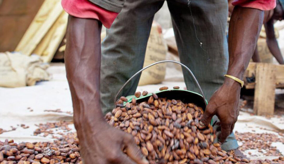 NGOs und Verbraucherschützer bewerten Fortschritte der Nestlé Qualitätsinitiative positiv