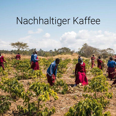 Blickpunkt Tchibo auf UmweltDialog Nachhaltiger Kaffee