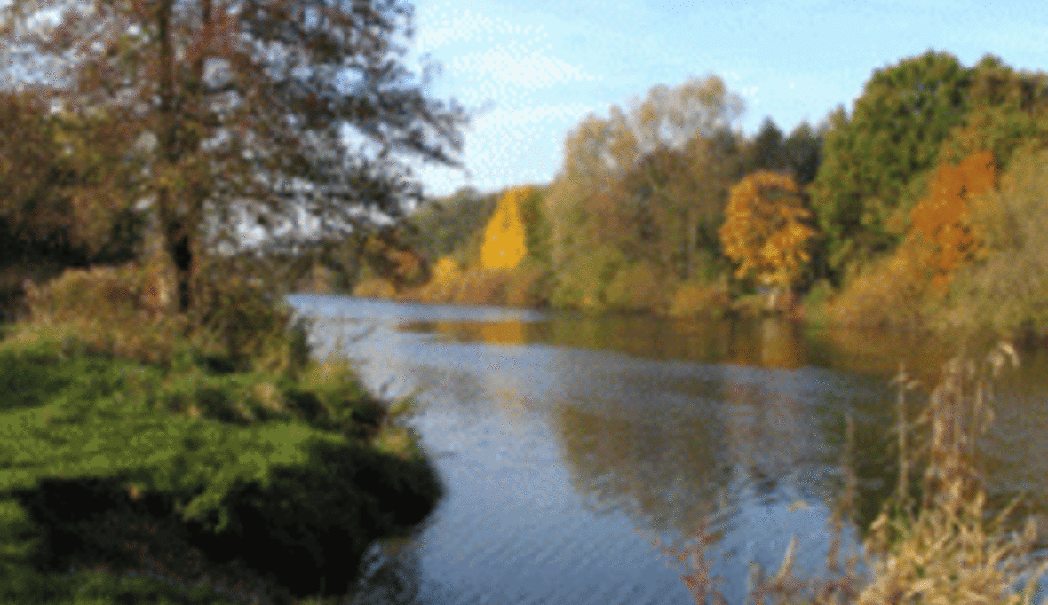 Wirtschaftsverbände legen Biodiversitäts-Checks vor