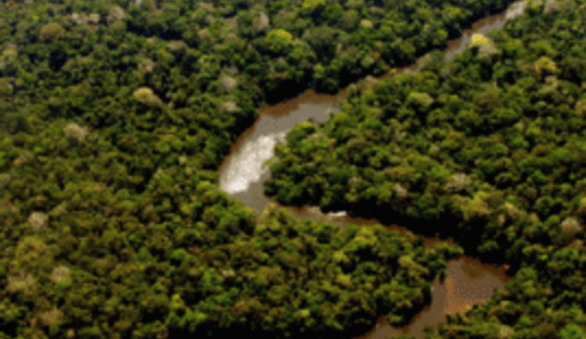 Brasilien: Staudamm gefährdet Amazonas