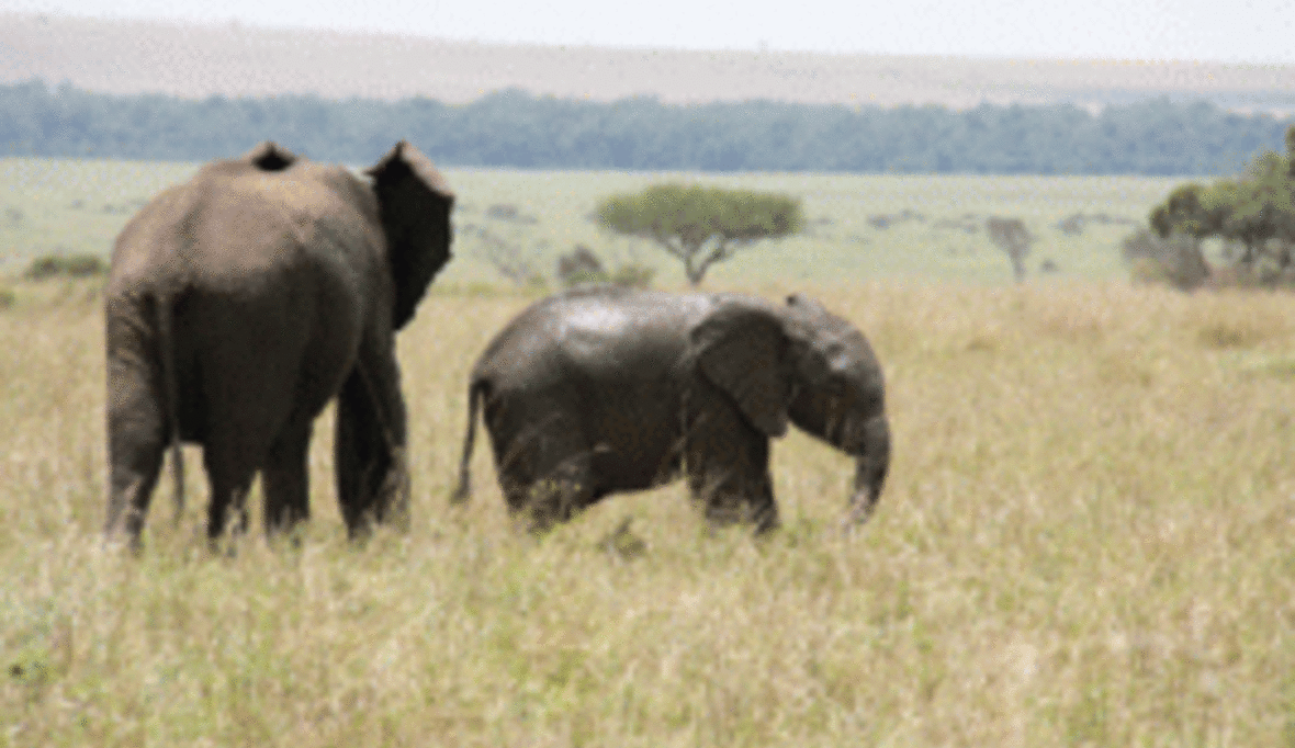 Staatsvertrag für größtes Naturschutzgebiet Afrikas unterschrieben