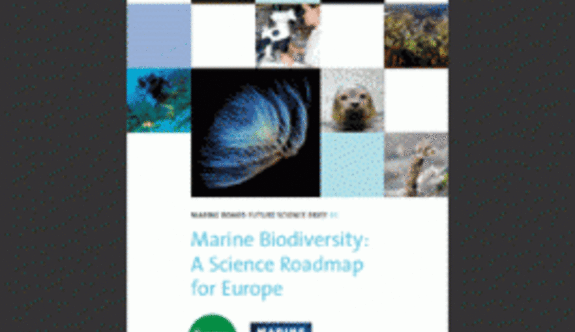 European Marine Board: Fahrplan für Marine Biodiversitätsforschung