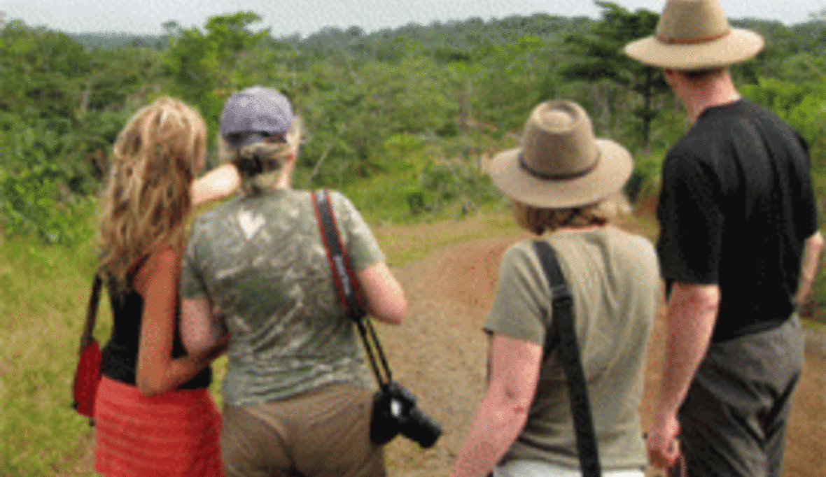 Trend zu Naturtourismus