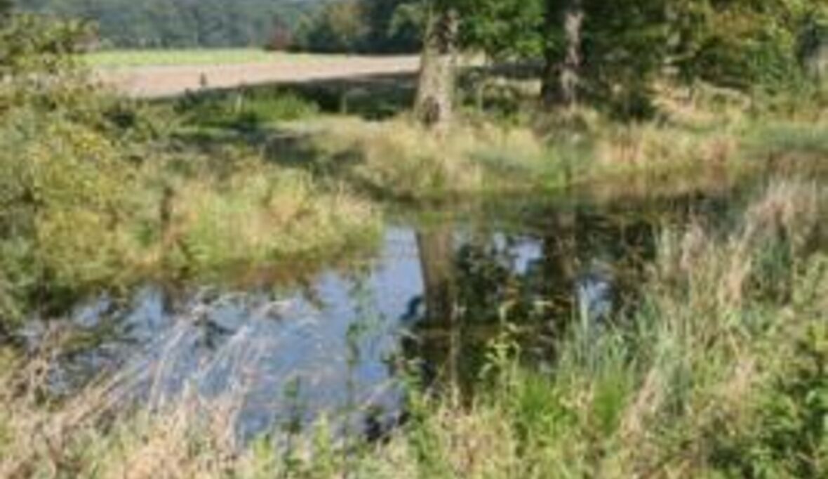 Bei Erdgasförderung in Niedersachsen gelangten giftige Stoffe ins Grundwasser