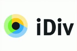 Logo des iDiv.