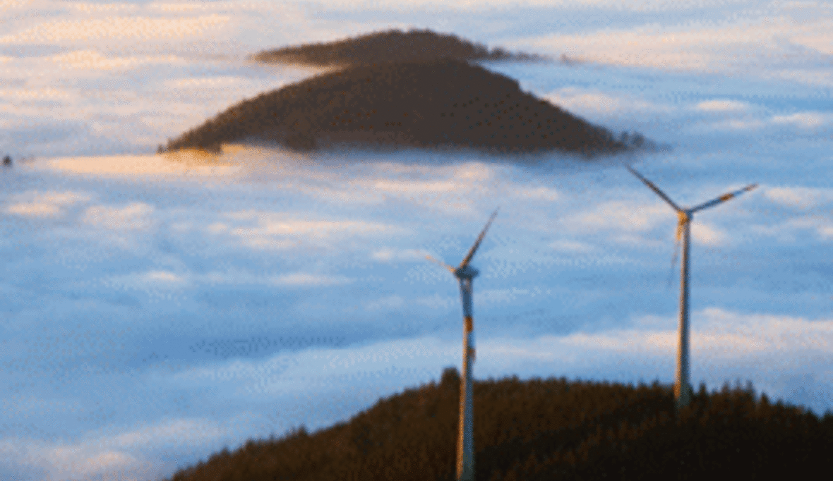 Umweltschützer befürworten Windräder auch in Wäldern