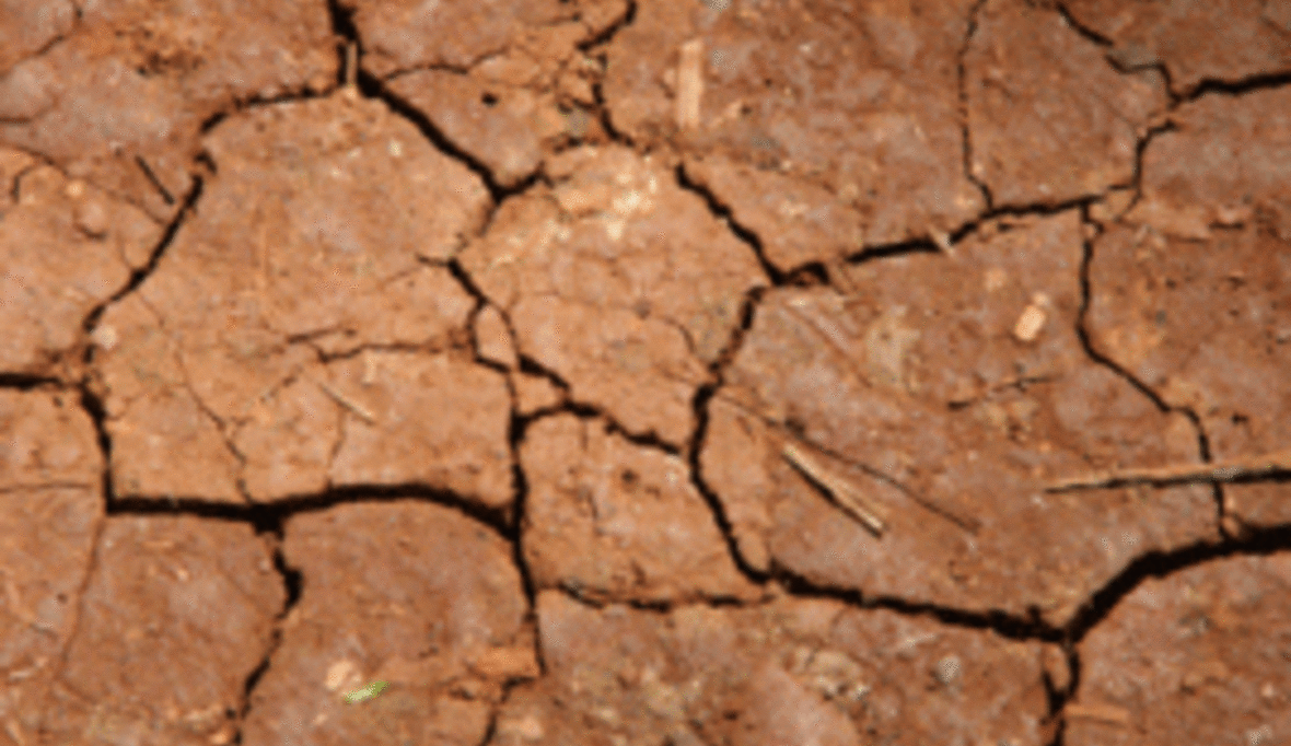 Wasserknappheit wird zum Wachstumsrisiko