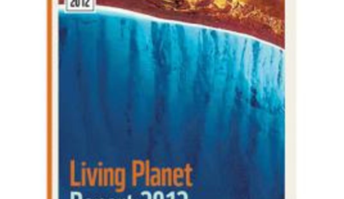 Ökologischer Fußabdruck steigt: Der Living Planet Report