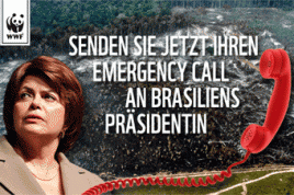 „emergencycallbrasilien.de“ (Screenshot): Der WWF ruft zu einer Protest-E-Mail Aktion auf, um die Rodung zu stoppen.