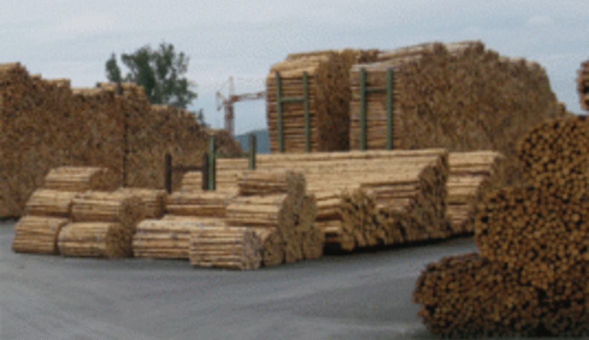 Norwegen schickt sich an, den Holzmarkt umzukrempeln