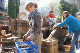 Mitglieder der Schülerfirma bei der Arbeit. Foto: Freie Universität Berlin